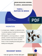 Migration in Birds