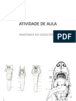 ATIVIDADE_AULA PRÁTICA DIGESTÓRIO_3febbcc725e7b08fcd7b4351f3847546