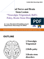 Cranial Nerve and Brain Stem Lesion