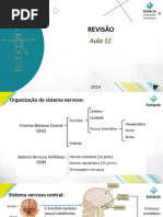 Aula 12 - Revisão Neuroanatomofisiologia