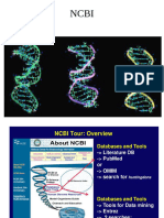 Lecture 4 Ncbi Database