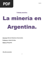 La actividad minera en la argentina