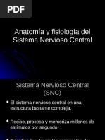 sistema_nervioso_central[1]