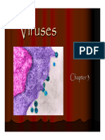 viruses-120308072910-phpapp02