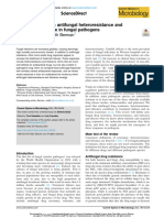 2024 Beyond resistance_ antifungal heteroresistance and antifungal tolerance in fungal pathogens