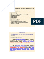 Organização Estrutural das Plantas