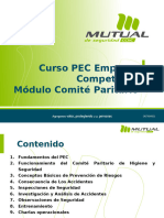 C. Paritario-2010 PEC-Competitiva