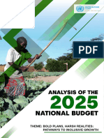 2025 Budget Analysis Report