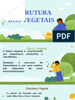 estrutura dos vegetais 