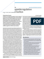 NATURE - Advances in Appetite Regulation by the Arcuate Nucleus (Garcia-Caceres, 2024)