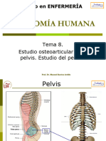 Tema 8 Pelvis periné 20-21