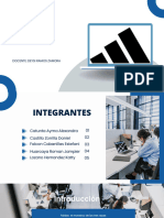 Aa4 Auditoria Control Interno