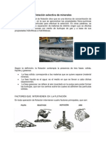 Flotación Selectiva de Minerales