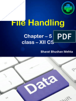 Xii Cs File Handling