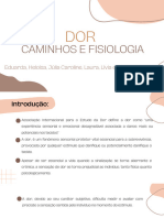 DOR CAMINHOS E FISIOLOGIA 