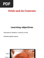 Orbit and Its Contents Ppt