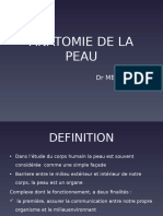 Anatomie de La Peau.isp