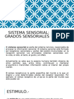 SISTEMA SENSORIAL 