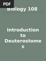 BIOLOGY 108, LAB 10 Deuterostomes 2021