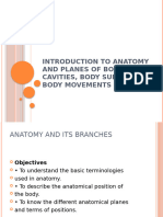 Anatomy Basic