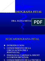 Ecocardiografia Fetal