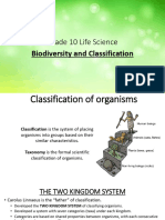 classification-ppt