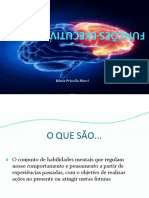 FUJNÇÕES EXECUTIVAS slides