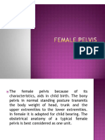 Female Pelvis Pp t