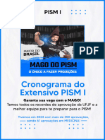 Cronograma - PISM I