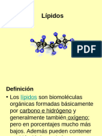 Lipidos