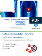 Anatomia 3 Sistema Reprodutor Vasc Iner e Sistlinf