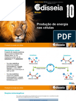 odis10_ppt_producao_energia_celulas 2