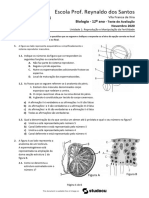 Bio12 Teste Reprodução 2020 Correc