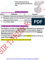 endocrine system 2023 (1)