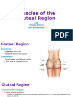 Muscles of the Gluteal Region