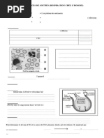 Exercices de Soutien Respiration - Copie