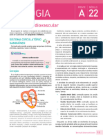 Sistema Cardiovascular