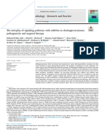 Chol Angio Carcinoma