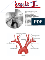 Anatomy 1.6, 1.7, 1.8