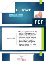 Lower GI tract 2