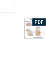 Technological Innovations in Osteoporosis Diagnosis and their Implications for Bone Metastases Management in Oncology