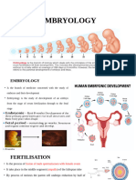 embryology nw (1)