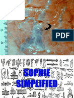 Sophie Simplified