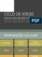 tópico_3_bioquímica_krebs_v6