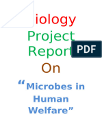 Microbes in Human Welfare