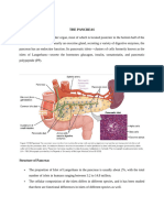 THE PANCREAS 305