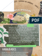 Efeitos Das Intervenções Humanas No Ambiente - Parte 1_20241226_015357_0000