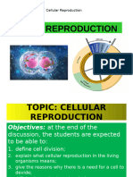 Cell Division Mitosis Meiosis Biology Lecture PowerPoint VCBCct