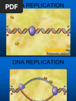 DNA Replication PPTs