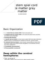 Spinal Cord Description of White Matter Gray Matter Ascending & Descending Tracts